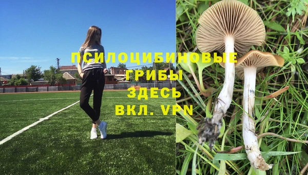 круглые Карпинск