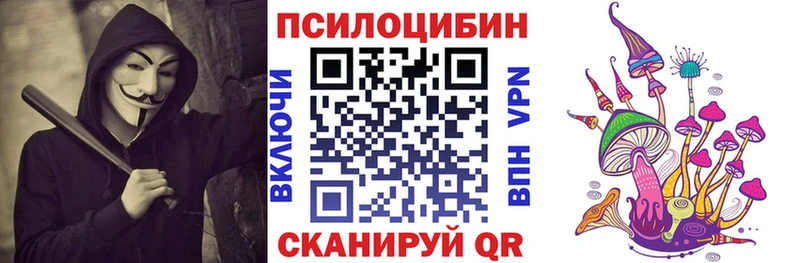 Галлюциногенные грибы Psilocybine cubensis  закладка  Фокино 